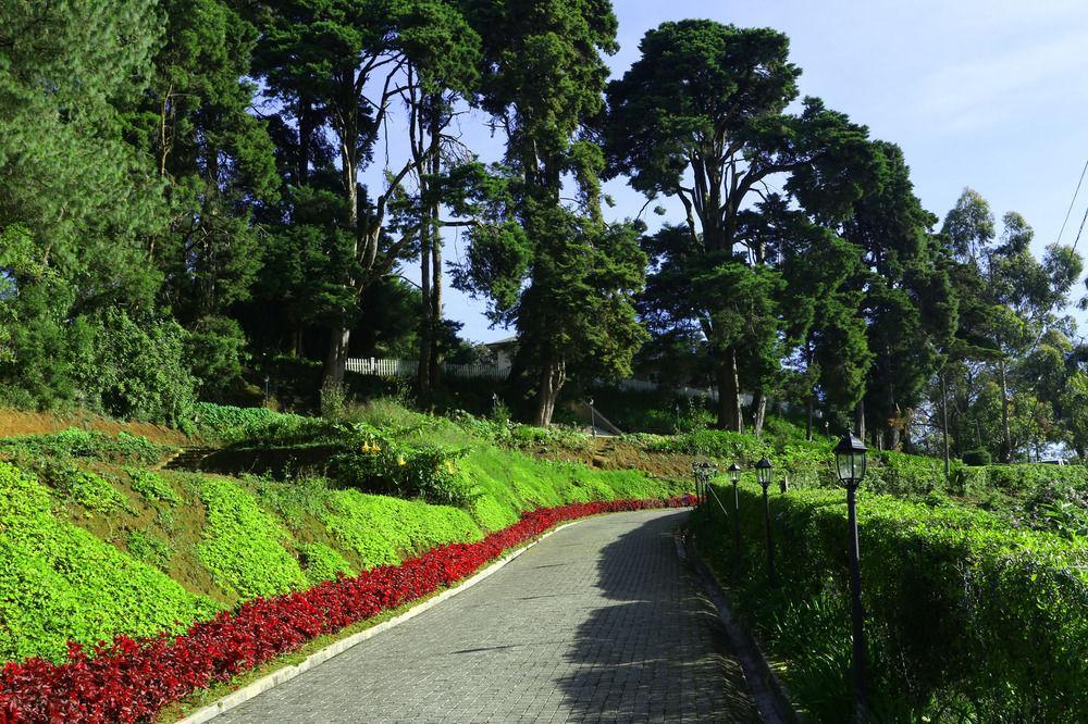The Firs Villa Nuwara Eliya Exterior photo