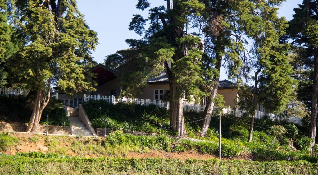 The Firs Villa Nuwara Eliya Exterior photo
