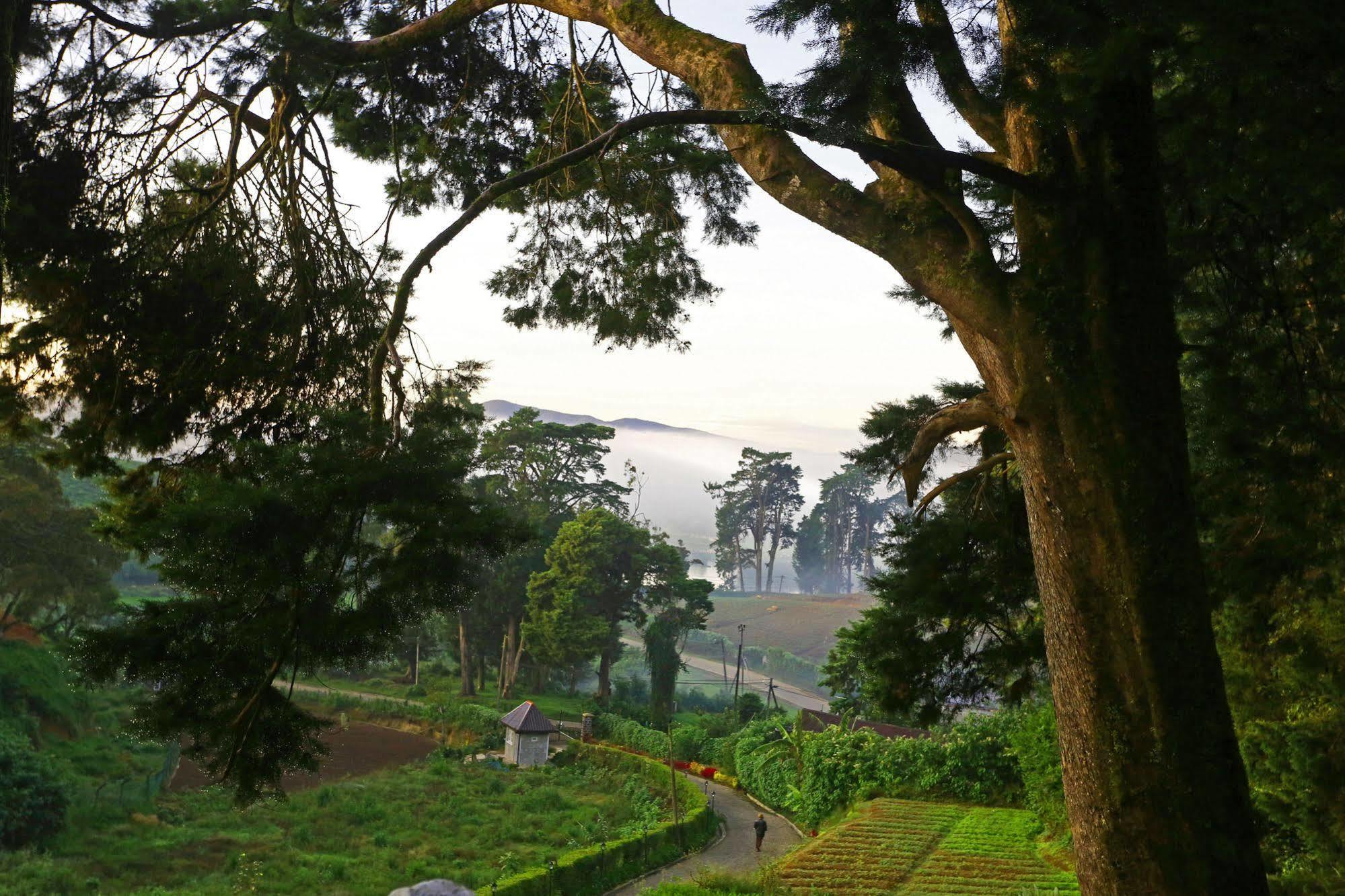 The Firs Villa Nuwara Eliya Exterior photo
